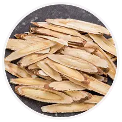 astragalus-root