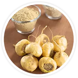 maca-root-ingredients