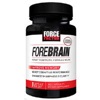 Kraftfaktor Vorderhirn