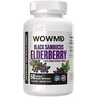 noire-sambucus-elderberry
