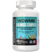 Complexe de mousse de mer