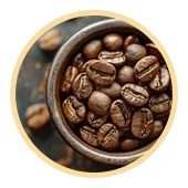 Arabica Coffee Beans