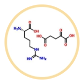 Arginine Alpha-Ketoglutarate