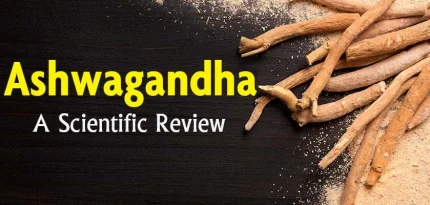 Ashwagandha – Evidenced-based Information on the Promising Health Benefits, Uses, & Possible Side Effects