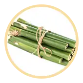 Bamboo Extract