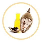 Baobab Oil