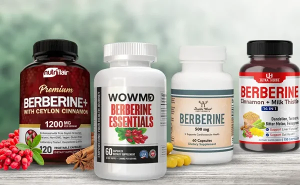 6 Best Berberine Supplements for Quick Results 2025