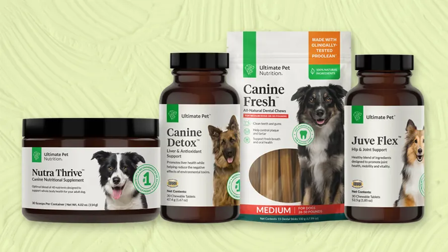 Solutions vitamines ProSense pour chiens, formule pour tous les stades de  la vie, 90 unités Favorise le bien-être global 