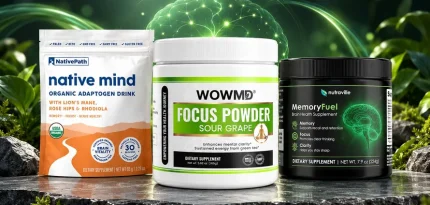 6 Best Powders for Focus and Memory 2026 | Picks That Held Up in Testing