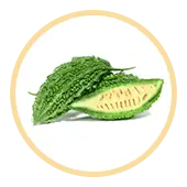 Bittere Melone