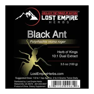 Black Ant King