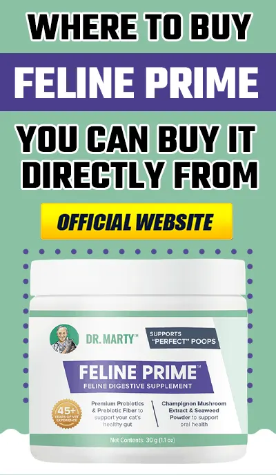 Acheter Feline Prime