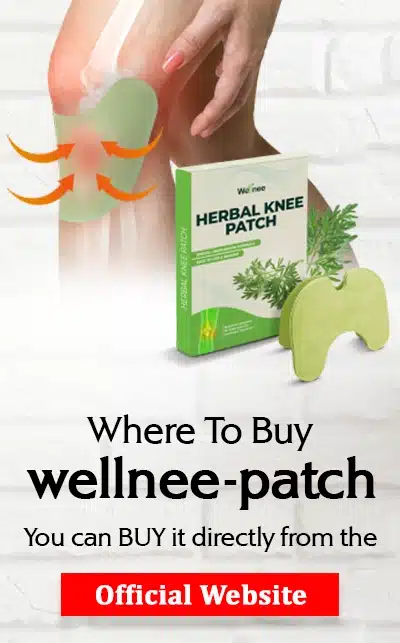 Compre Patch WellNee