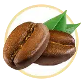 Caféine