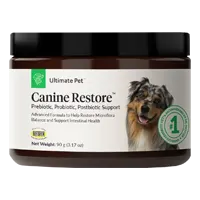 Hundewiederherstellung