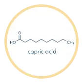 Capric Acid (C10)