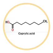 Caprylic Acid