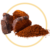 Chaga Mushrooms