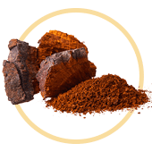 Hongos Chaga