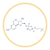 Citicoline