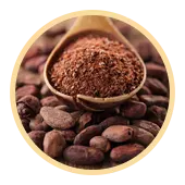 Cocoa and Chocolate Notes