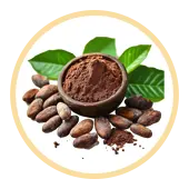 Cocoa Flavanols