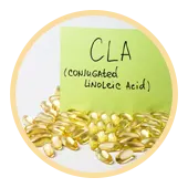 L'acide linoléique conjugué
