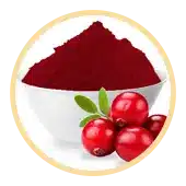 Cranberry Extract