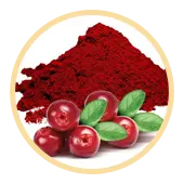 Cranberry Extract