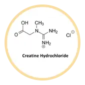 Kreatinhydrochlorid