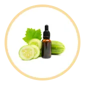 Cucumber Extract