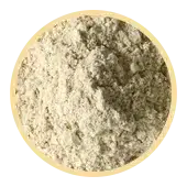 Dandelion Root