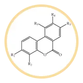 Dibenzo-Alpha-Pyrones