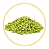 Graine de fenouil