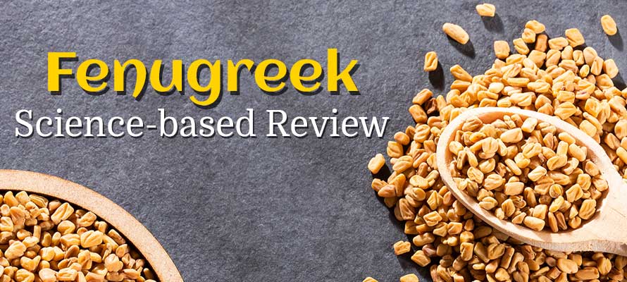 Fenugreek