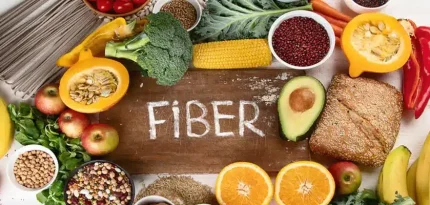 Fiber – Everything You Need to Know