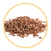 Flaxseed
