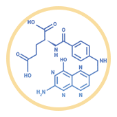 Folic Acid 