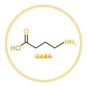 GABA