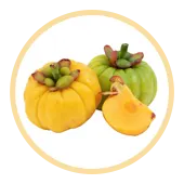 garcinia cambogia