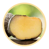 glucomanano