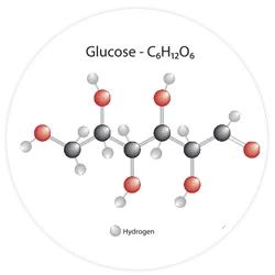 A small amount of glucose or another carbohydrate
