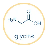 Glycine