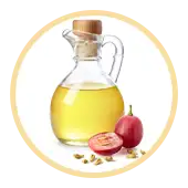 Grape Seed Oil