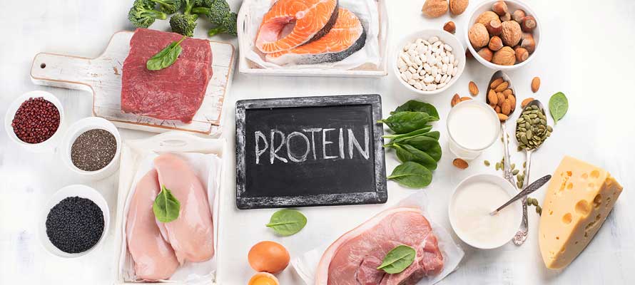 proteinreiche Ernährung