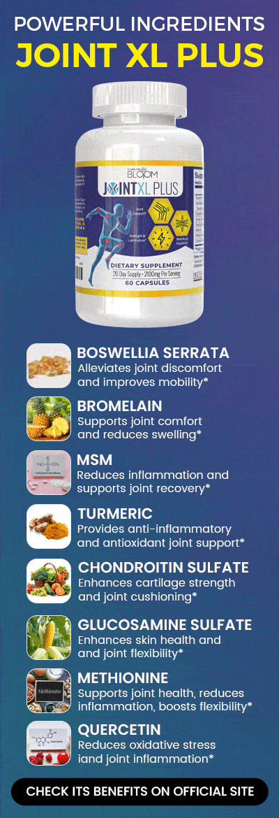 Junta de ingredientes XL Plus