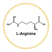 L-Arginine