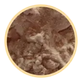 Lactoferrin