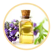 Lavender Oil