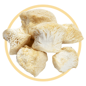 Lion’s Mane Mushrooms